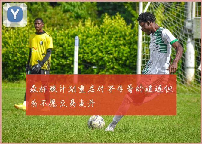 森林狼计划重启对字母哥的追逐但或不愿交易麦丹