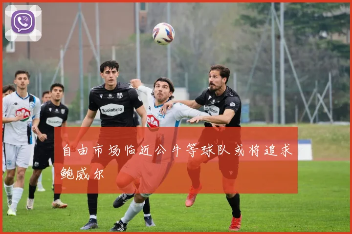 自由市场临近公牛等球队或将追求鲍威尔