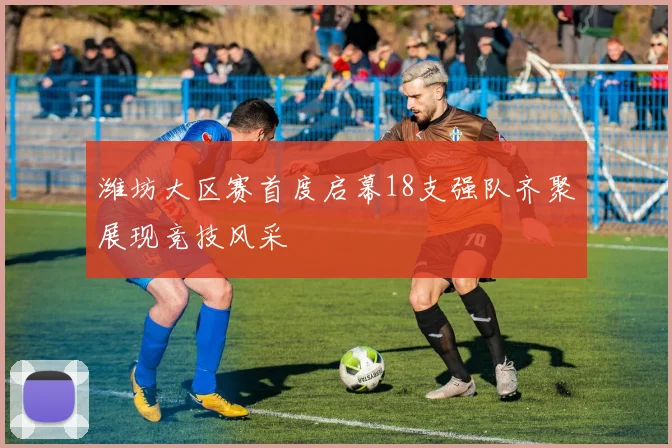 潍坊大区赛首度启幕18支强队齐聚展现竞技风采