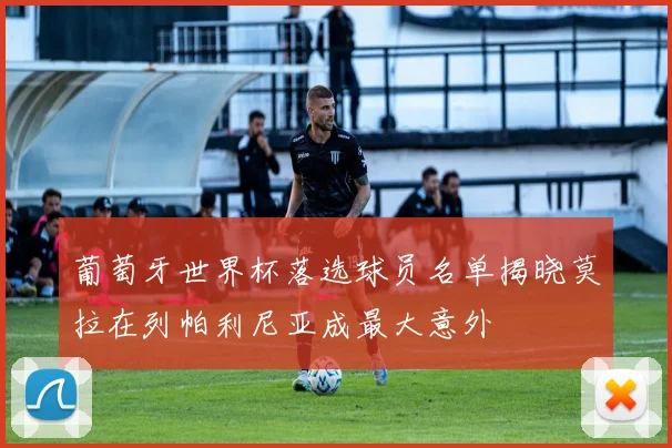 葡萄牙世界杯落选球员名单揭晓莫拉在列帕利尼亚成最大意外